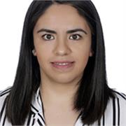 Doy clases particulares de inglés. Soy economista y poseo master en Desarrollo Económico